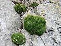 pict0282