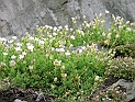 pict0283