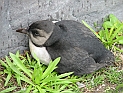 pict0285