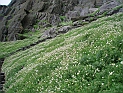pict0304