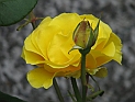 pict0495