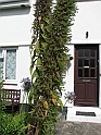 pict0012