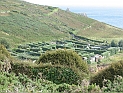 pict0019