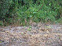 pict0034