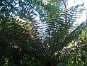 pict0063