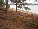 pict0003