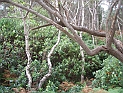 pict0004