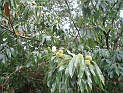 pict0007