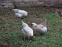 pict0023