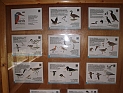 pict0026