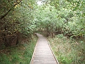 pict0027