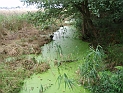 pict0029