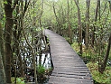 pict0034