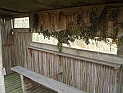 pict0035