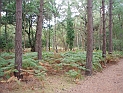 pict0038
