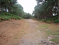 pict0043