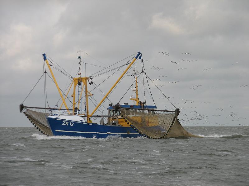 S2_5006.JPG