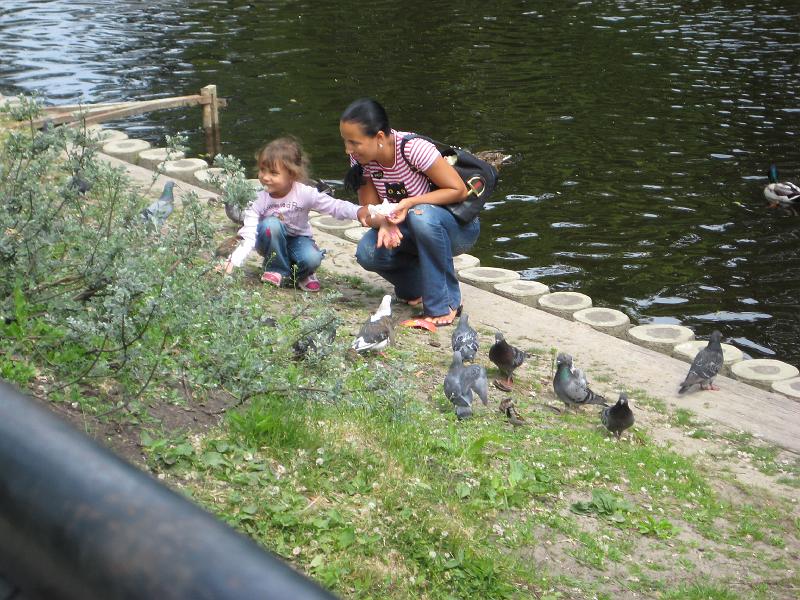 DS1000_0874.JPG