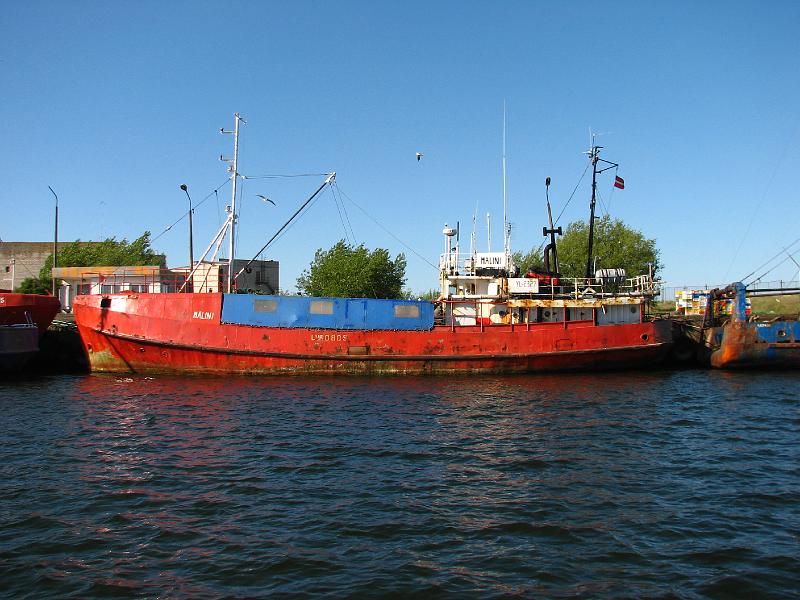 S2_5449.JPG