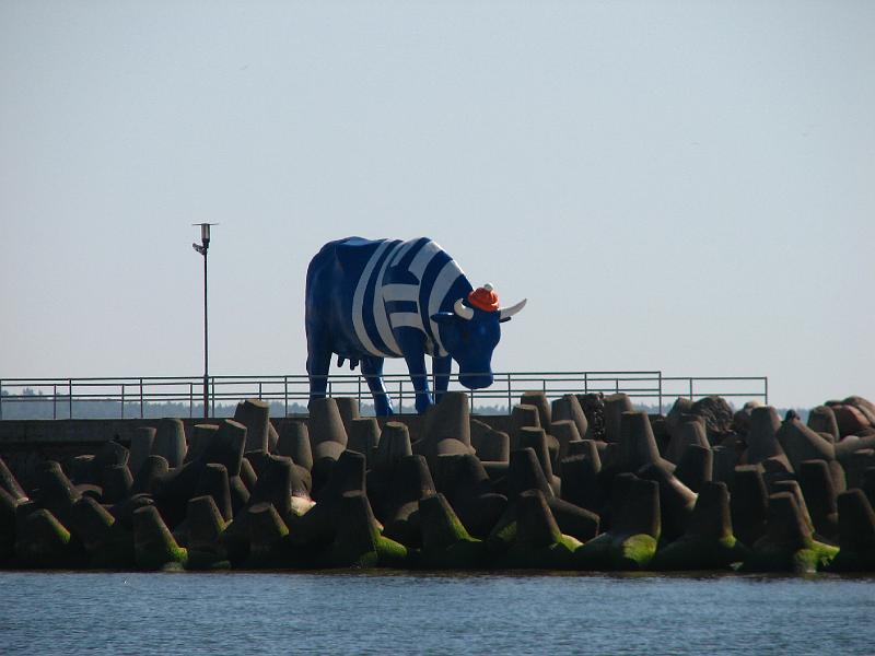 S2_5514.JPG