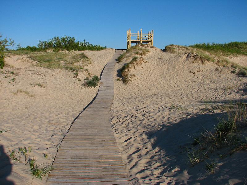 S2_5533.JPG