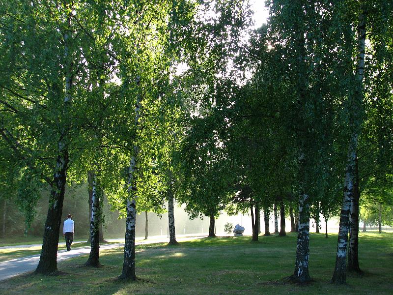 S2_5569.JPG
