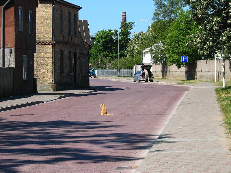 S2_5603.JPG