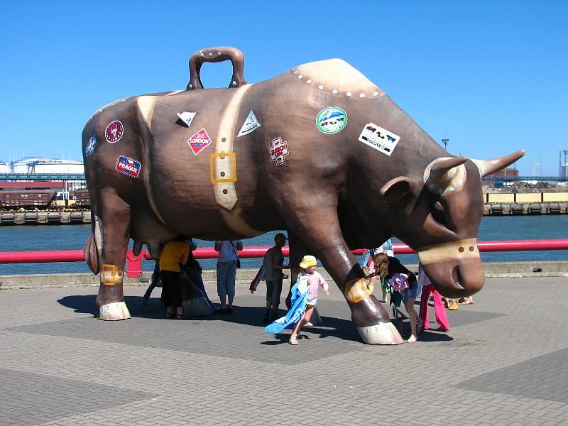 S2_5611.JPG