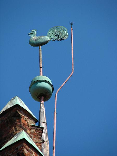S2_5924.JPG