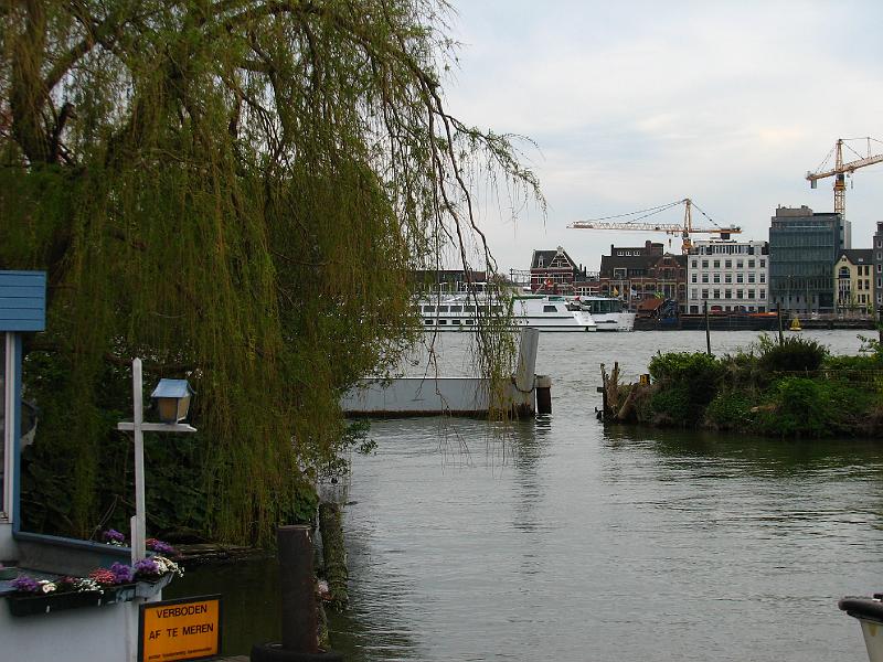 S2_3993.JPG