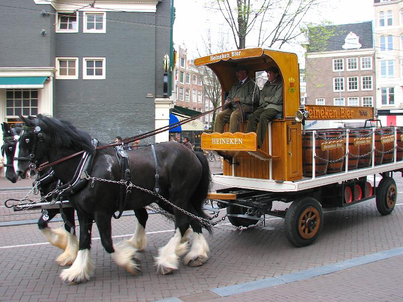 S2_4042.JPG