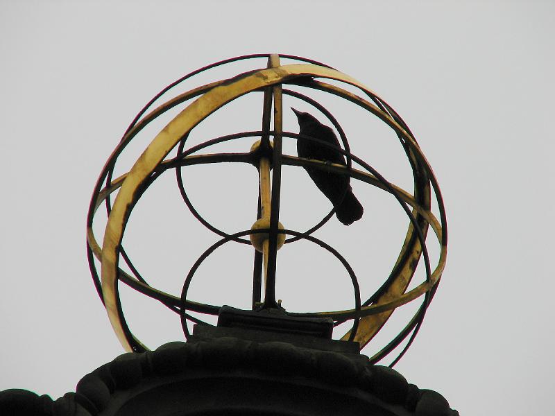 S2_4072.JPG