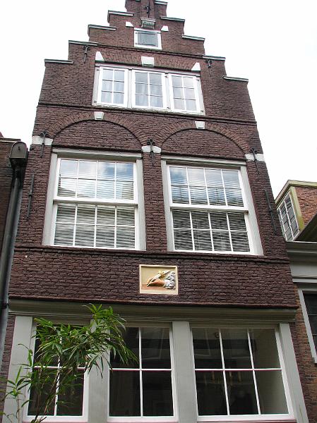 S2_4165.JPG