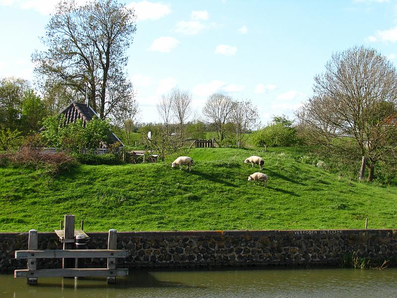 S2_4221.JPG