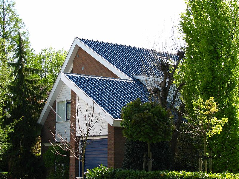 S2_4358.JPG