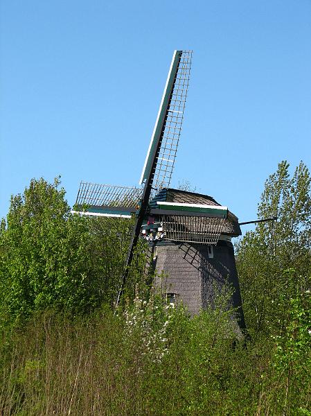 S2_4359.JPG