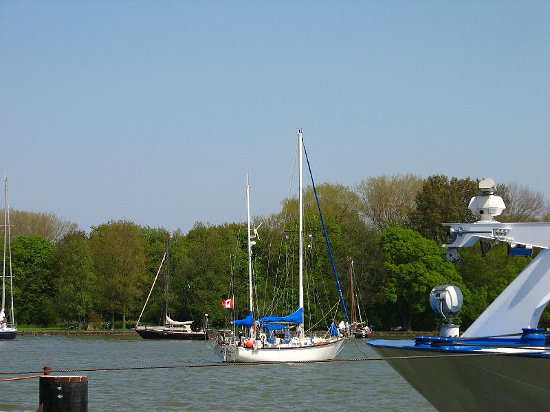 S2_4463.JPG