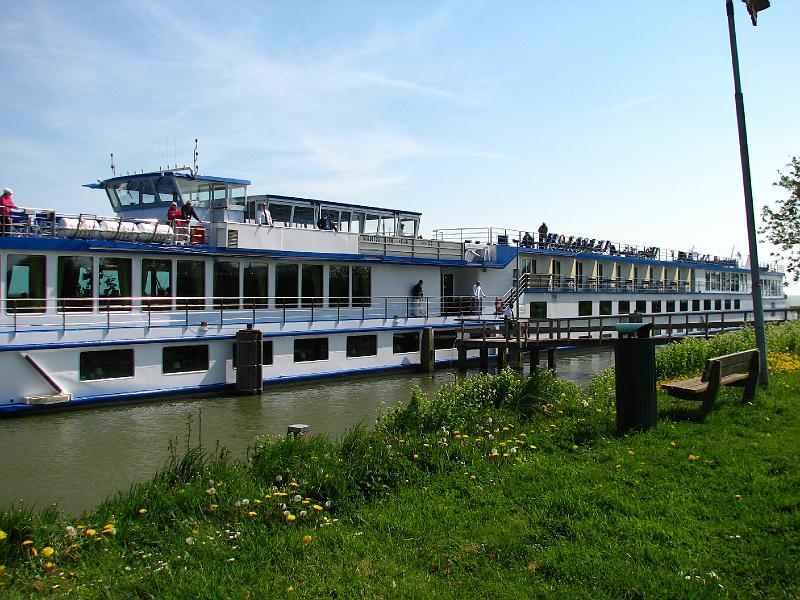 S2_4465.JPG