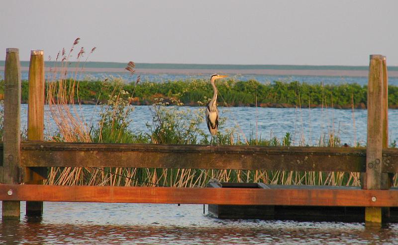 S2_4567.JPG