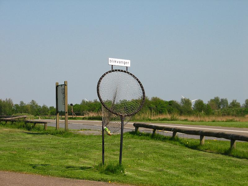 S2_4893.JPG