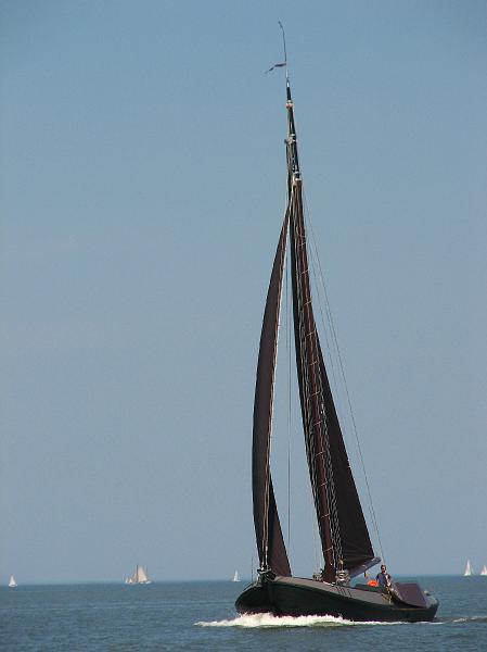 S2_4932.JPG