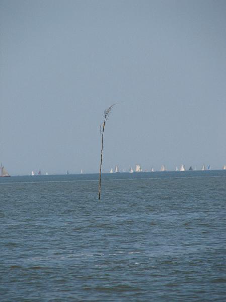 S2_4936.JPG