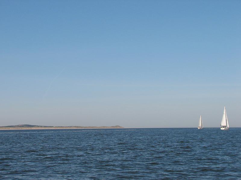 S2_4991.JPG