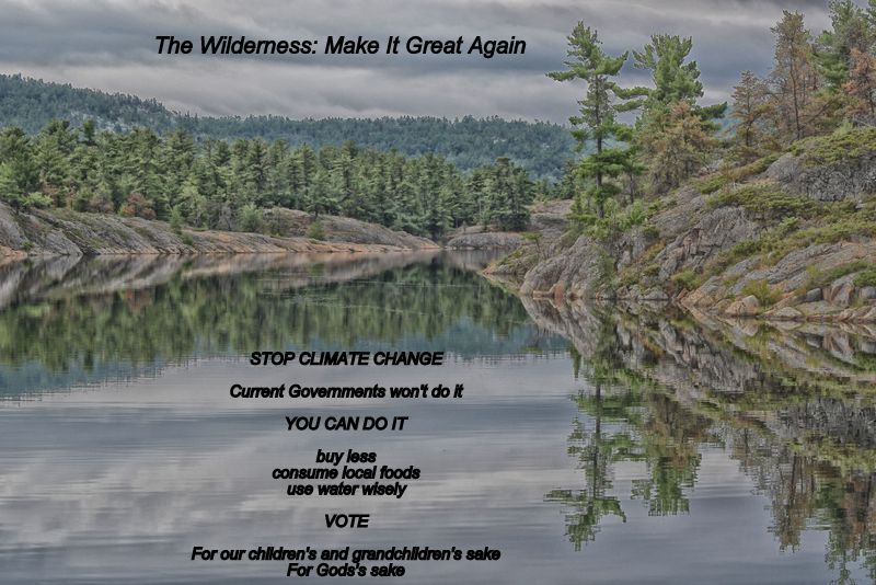 Make the Wilderness
                      Great Again